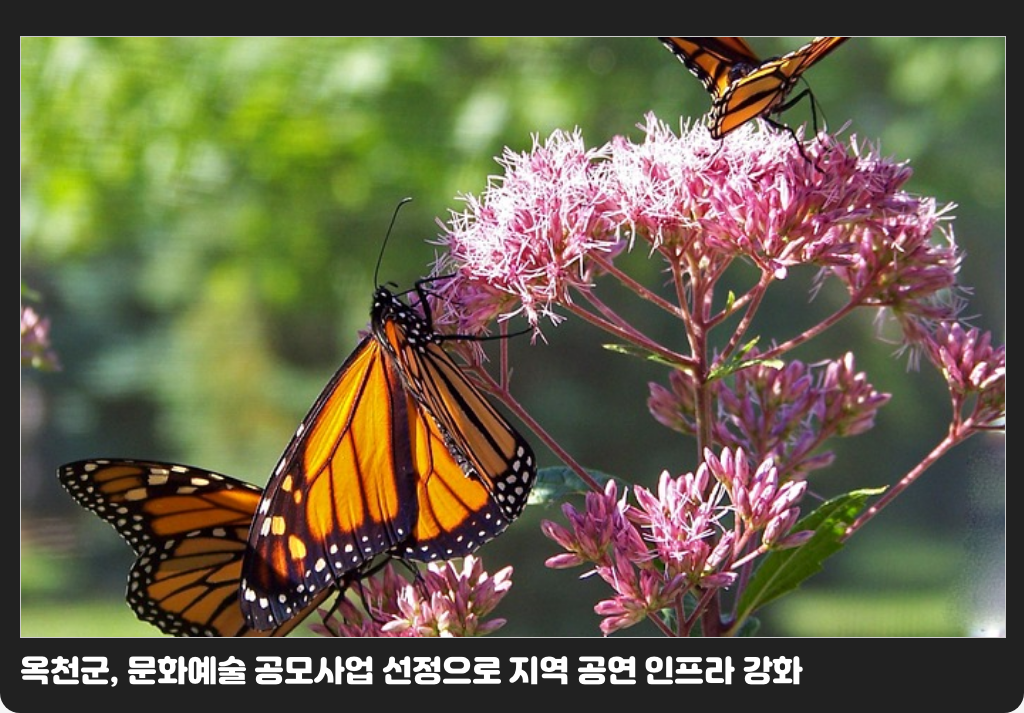 옥천군, 문화예술 공모사업 선정으로 지역 공연 인프라 강화