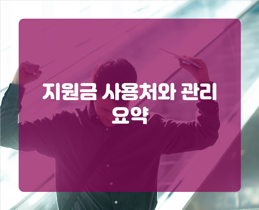 지원금 사용처와 관리 요약