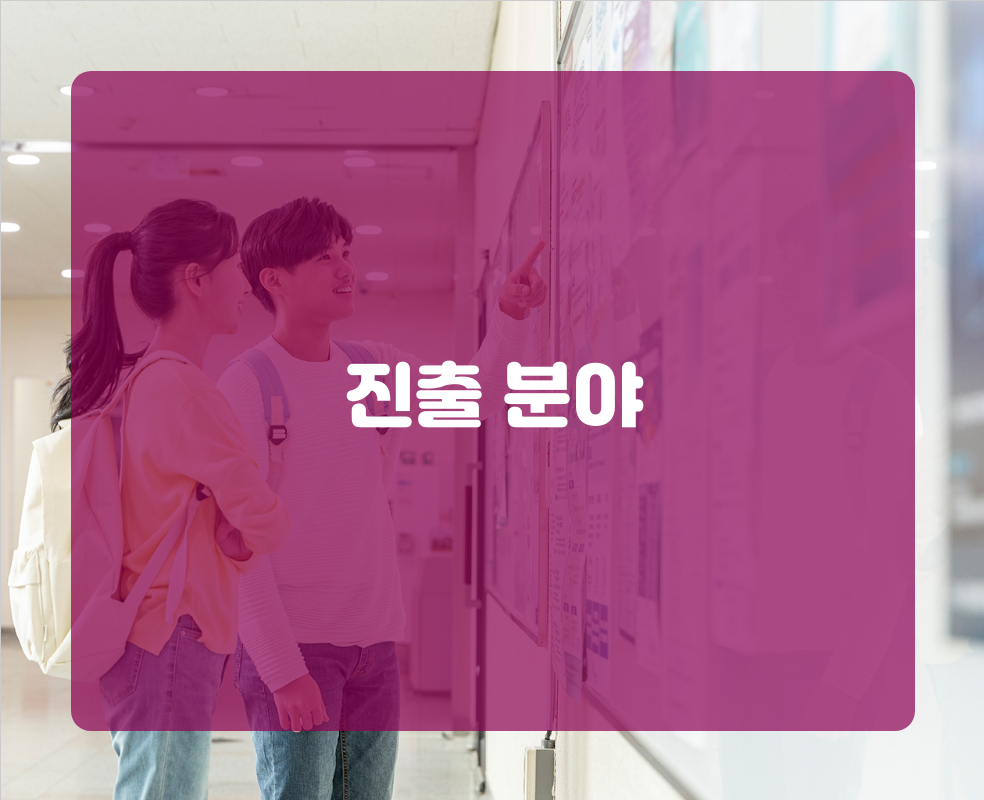 진출 분야