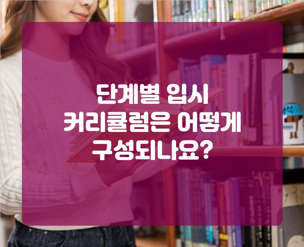 단계별 입시 커리큘럼은 어떻게 구성되나요?