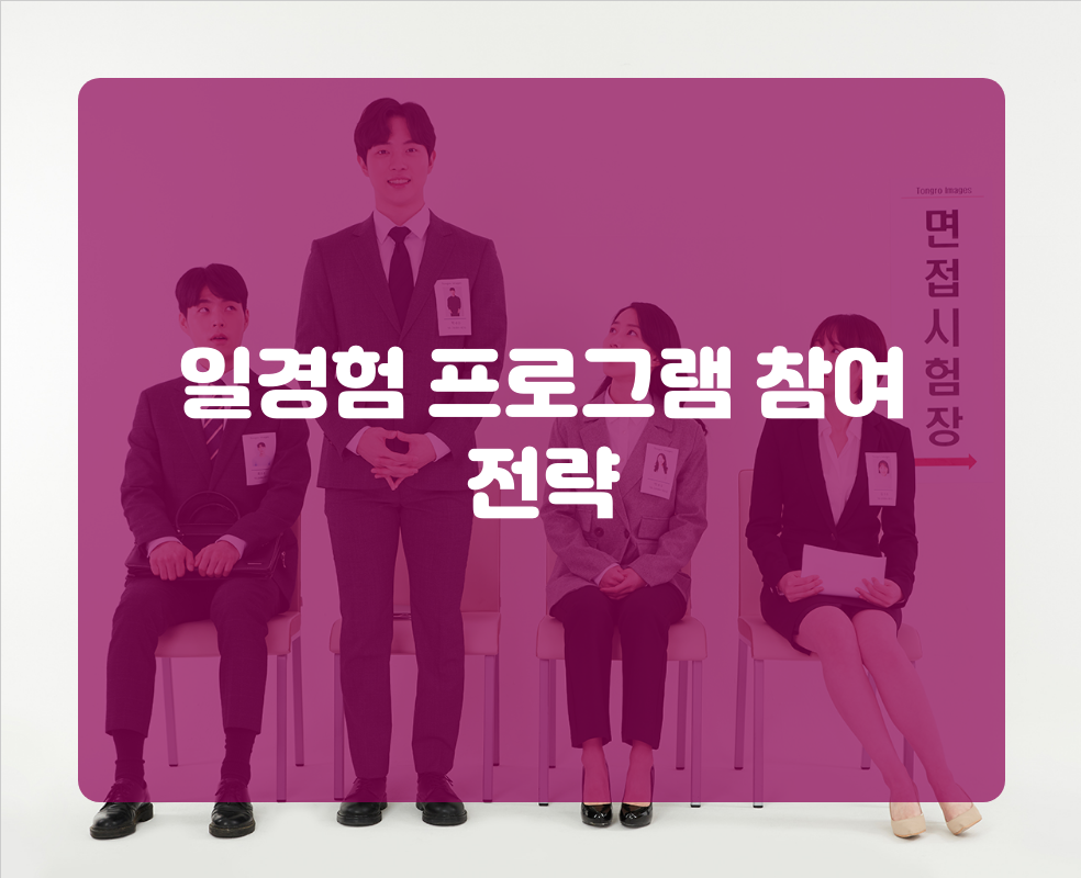 일경험 프로그램 참여 전략