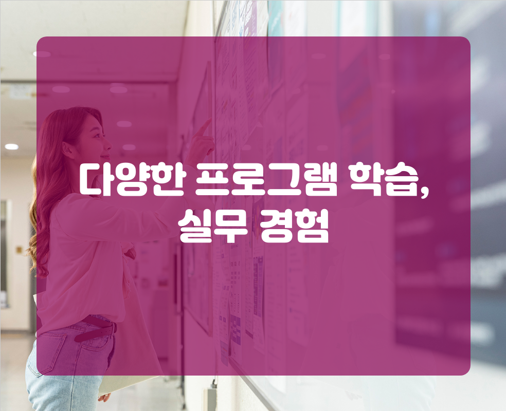 다양한 프로그램 학습, 실무 경험
