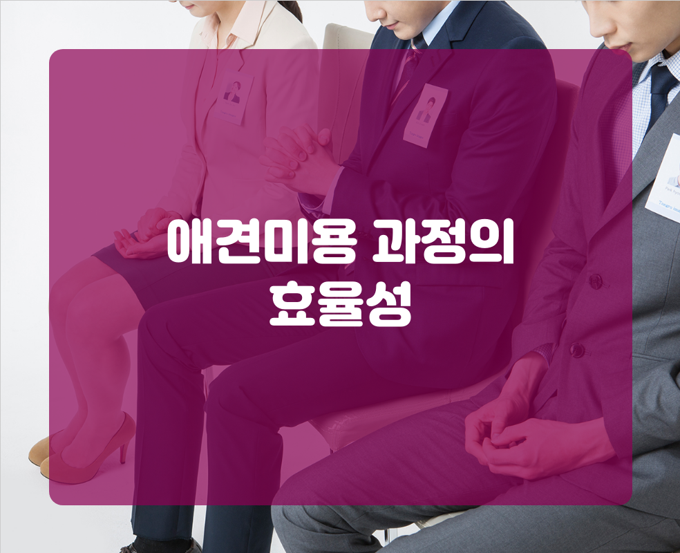 애견미용 과정의 효율성