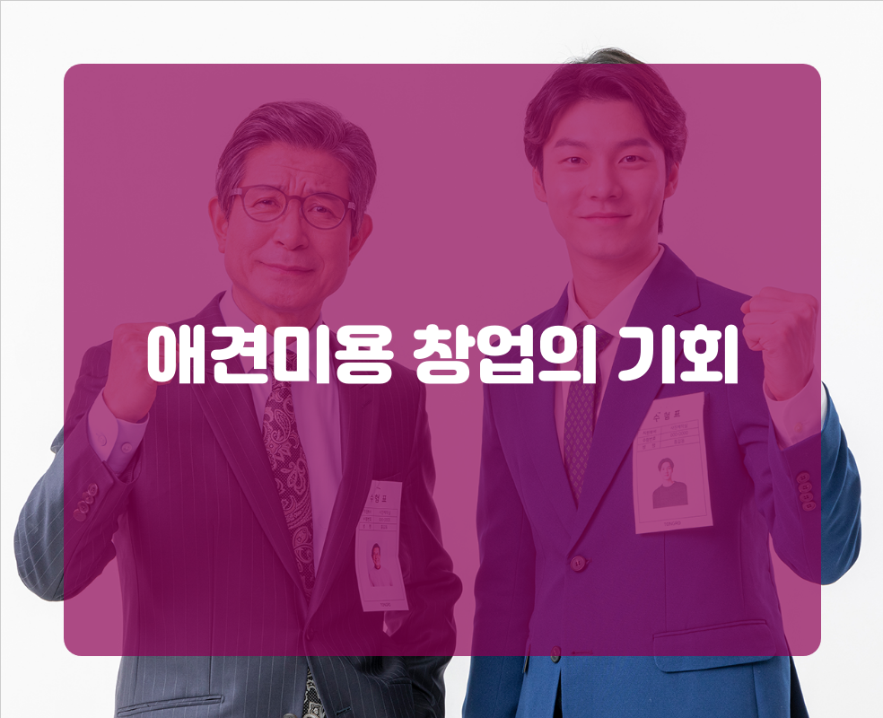 애견미용 창업의 기회