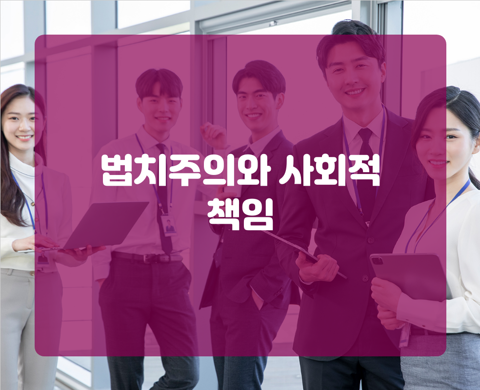 법치주의와 사회적 책임