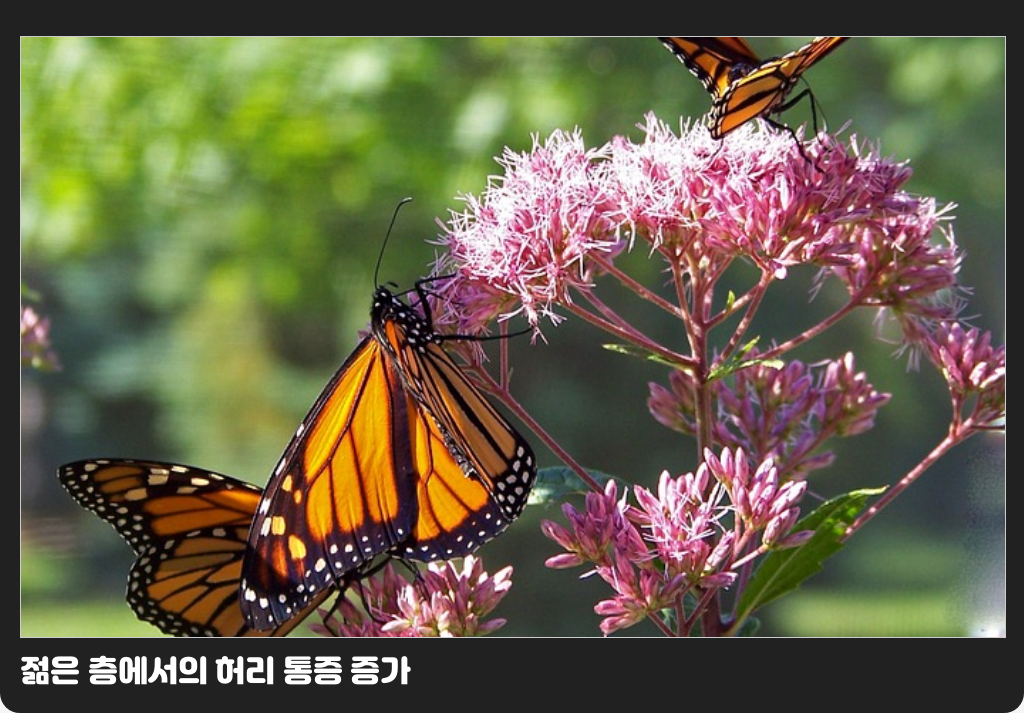 젊은 층에서의 허리 통증 증가