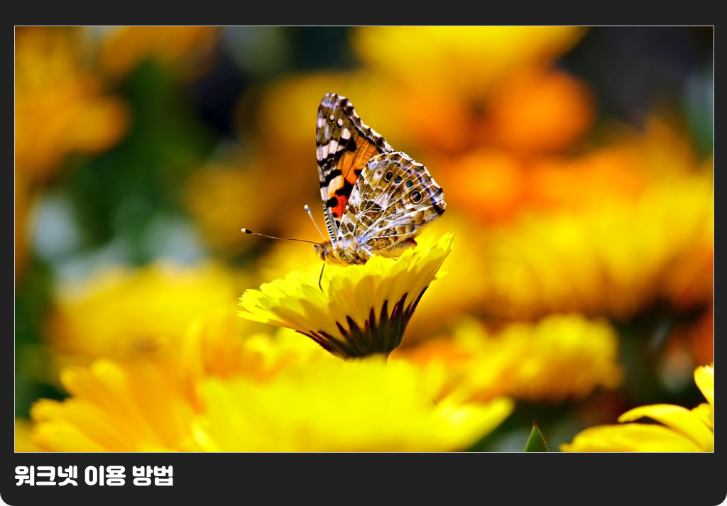 워크넷 이용 방법