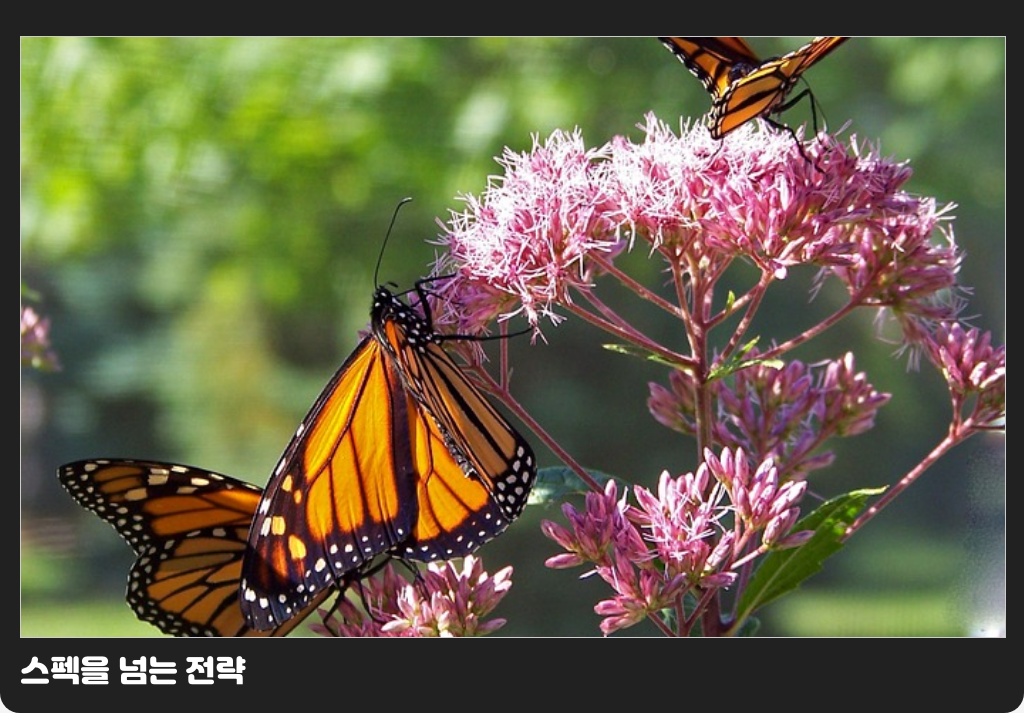 스펙을 넘는 전략