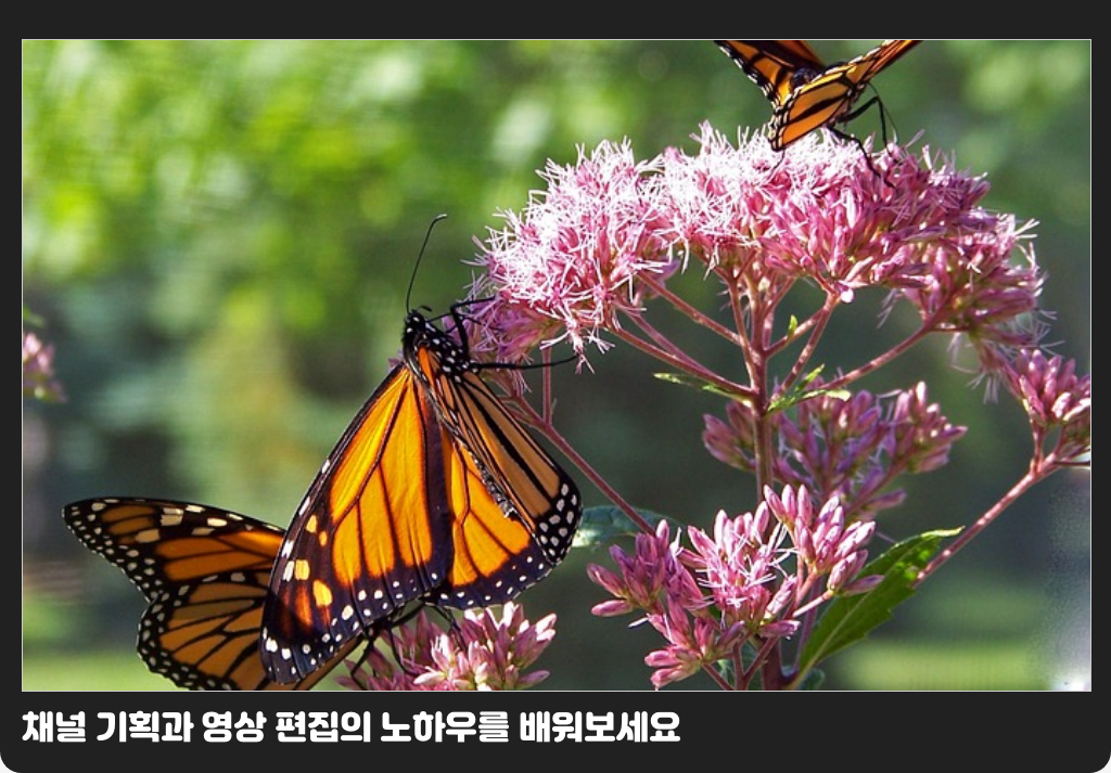 채널 기획과 영상 편집의 노하우를 배워보세요