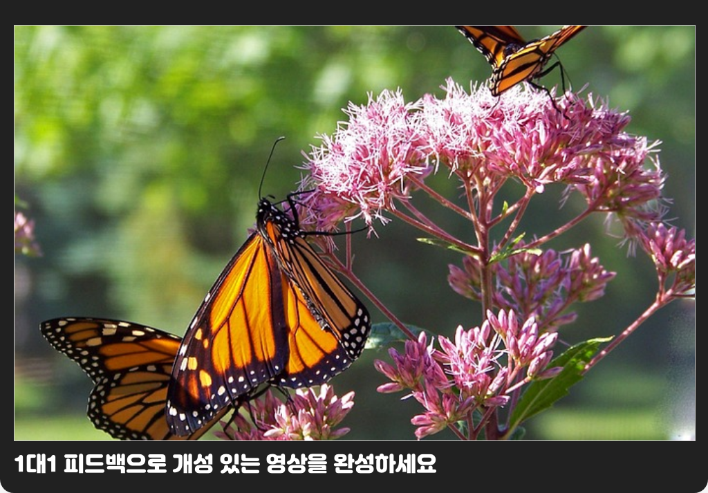 1대1 피드백으로 개성 있는 영상을 완성하세요