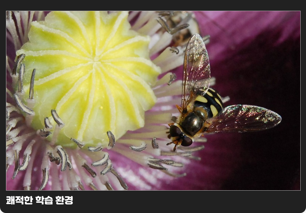 쾌적한 학습 환경