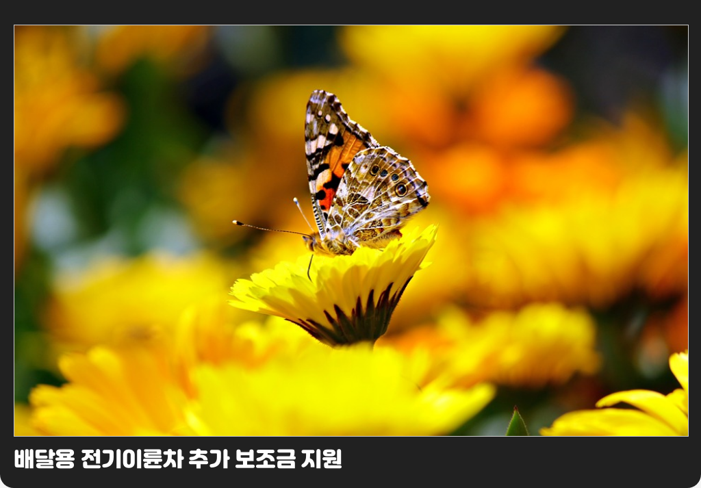 배달용 전기이륜차 추가 보조금 지원