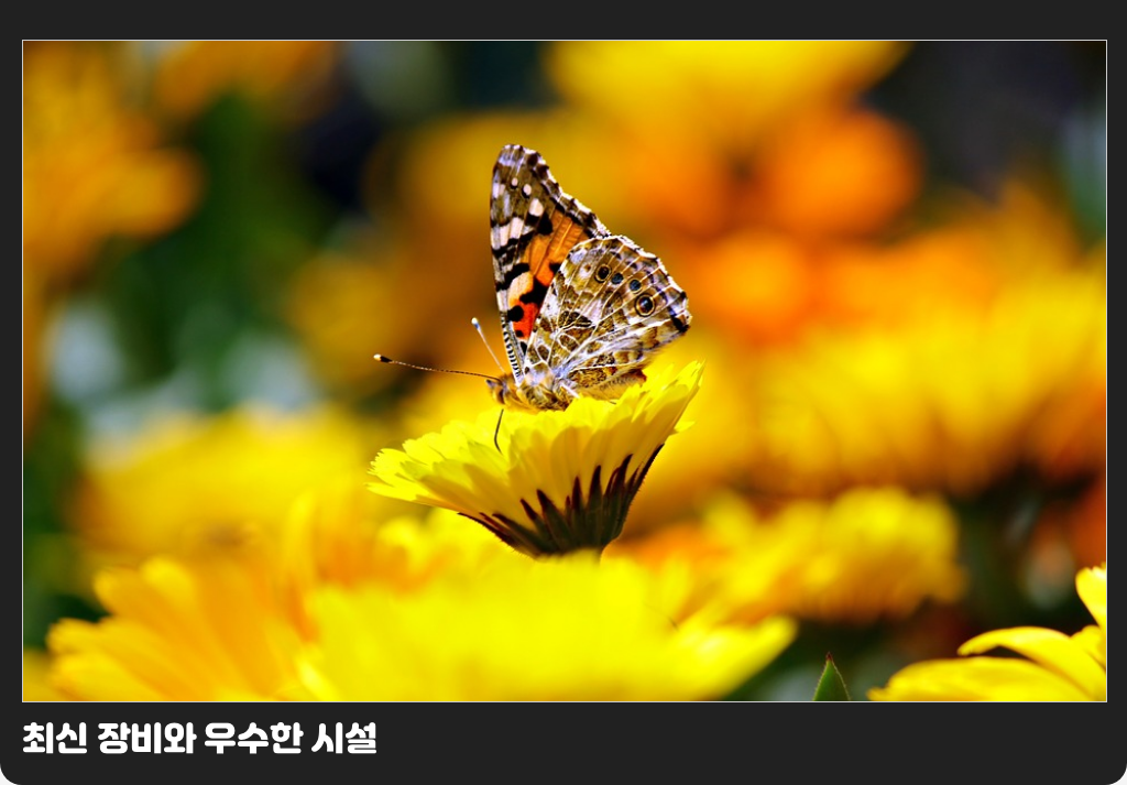 최신 장비와 우수한 시설