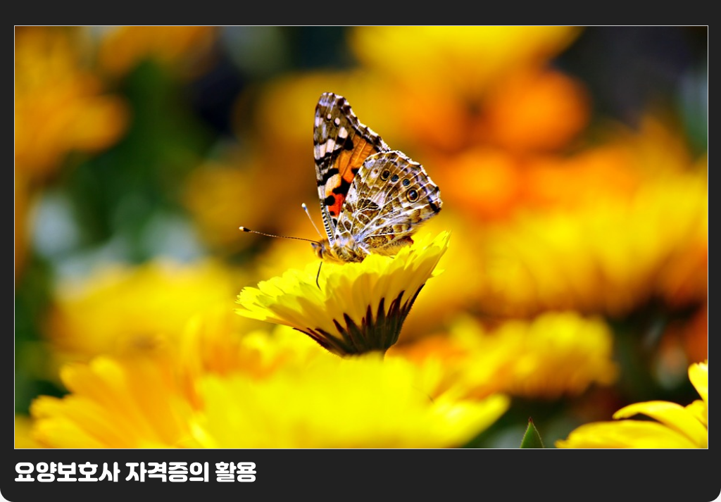 요양보호사 자격증의 활용