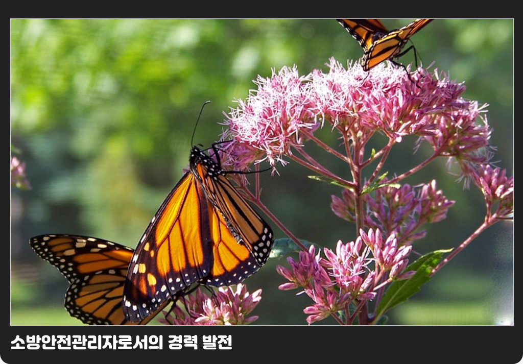 소방안전관리자로서의 경력 발전