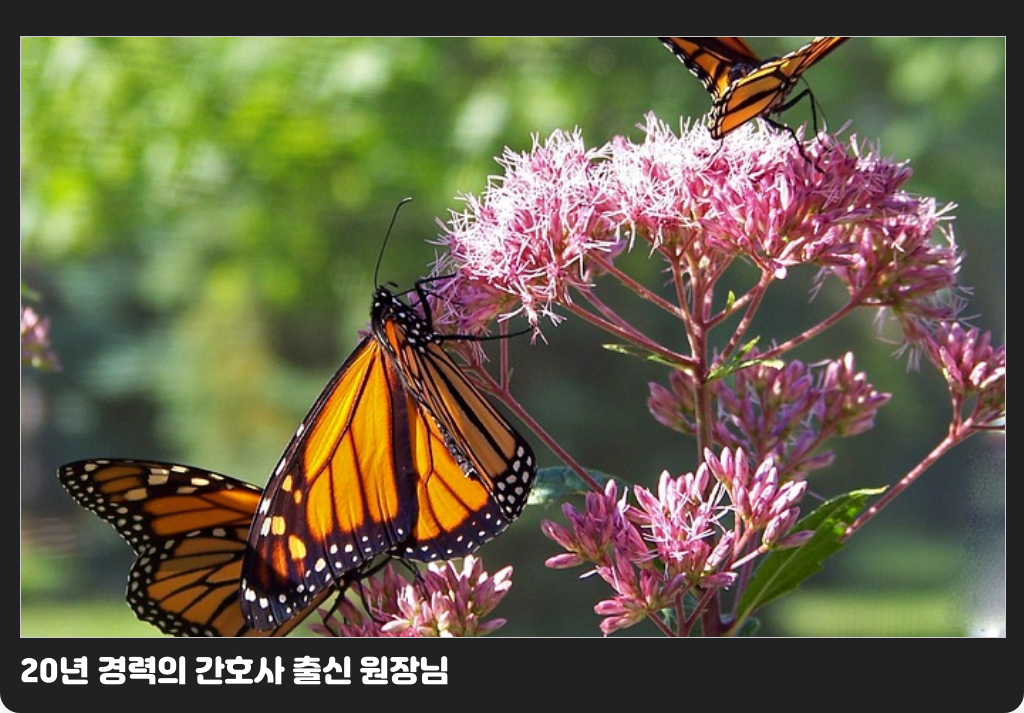 20년 경력의 간호사 출신 원장님