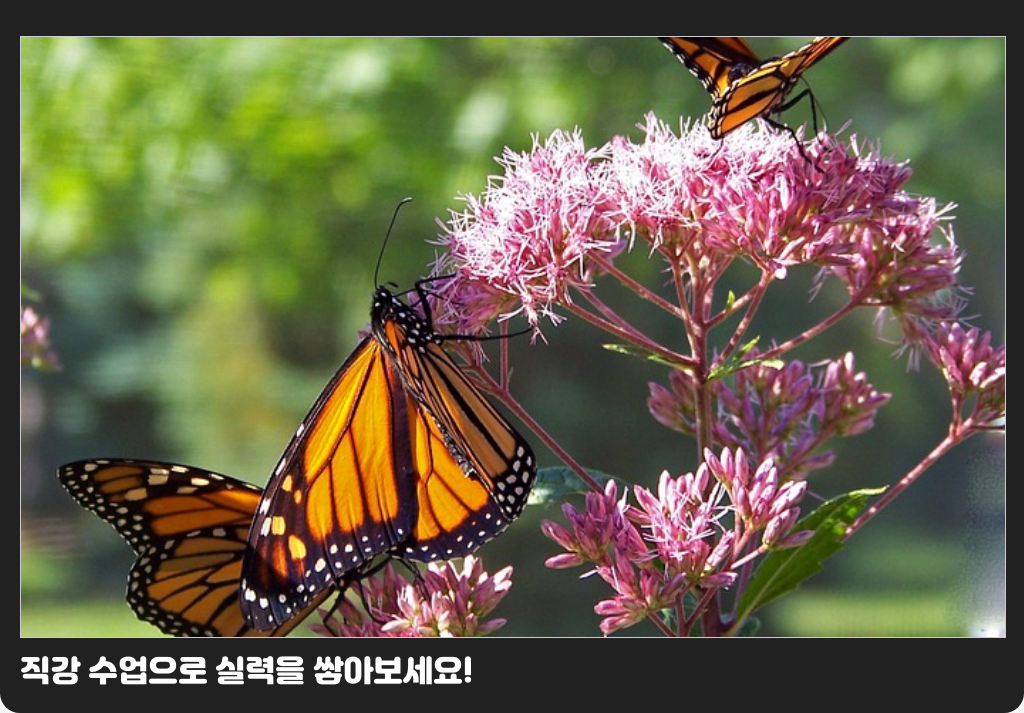 직강 수업으로 실력을 쌓아보세요!