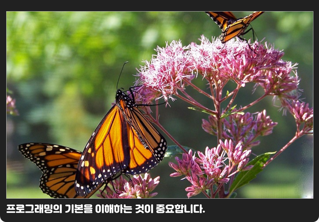 프로그래밍의 기본을 이해하는 것이 중요합니다.