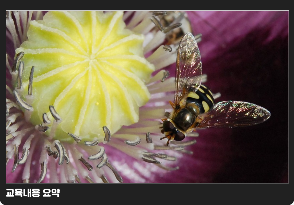 교육내용 요약