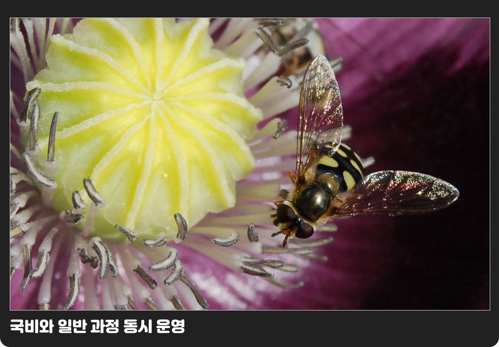 국비와 일반 과정 동시 운영