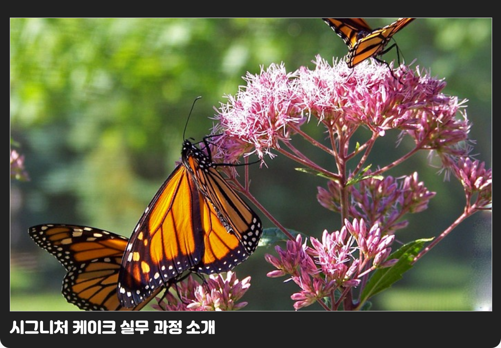 시그니처 케이크 실무 과정 소개