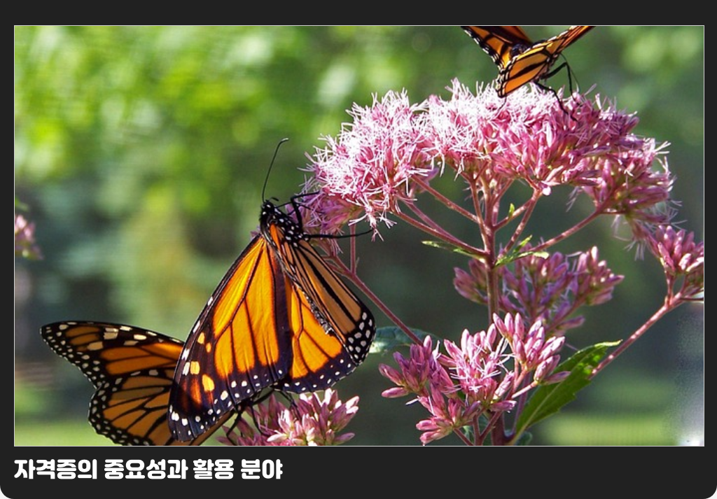 자격증의 중요성과 활용 분야