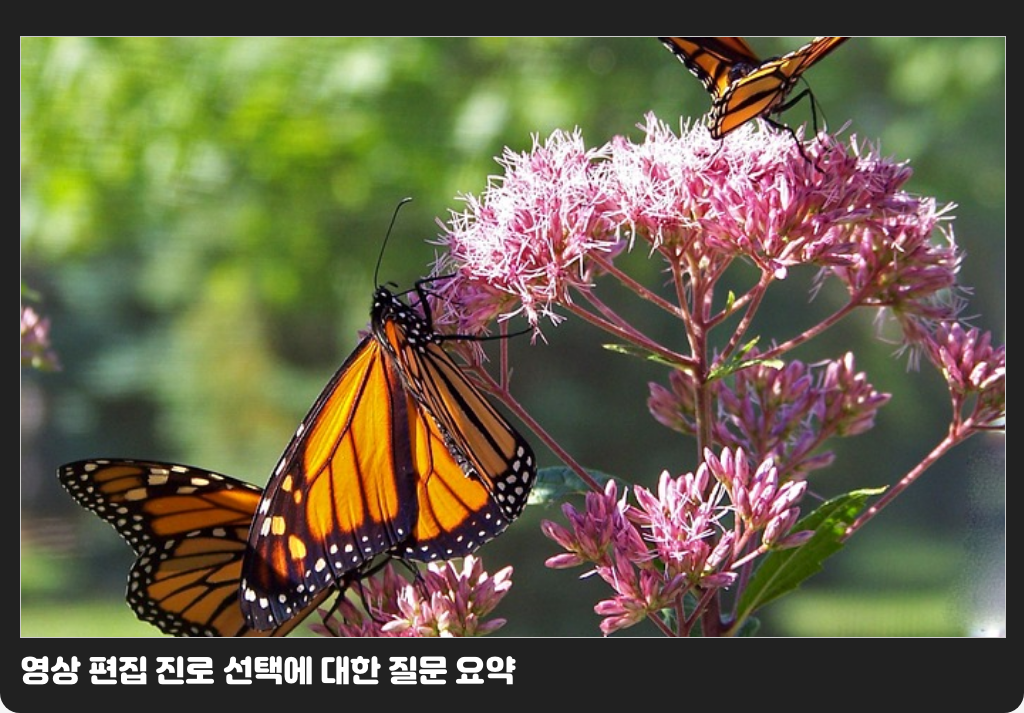 영상 편집 진로 선택에 대한 질문 요약