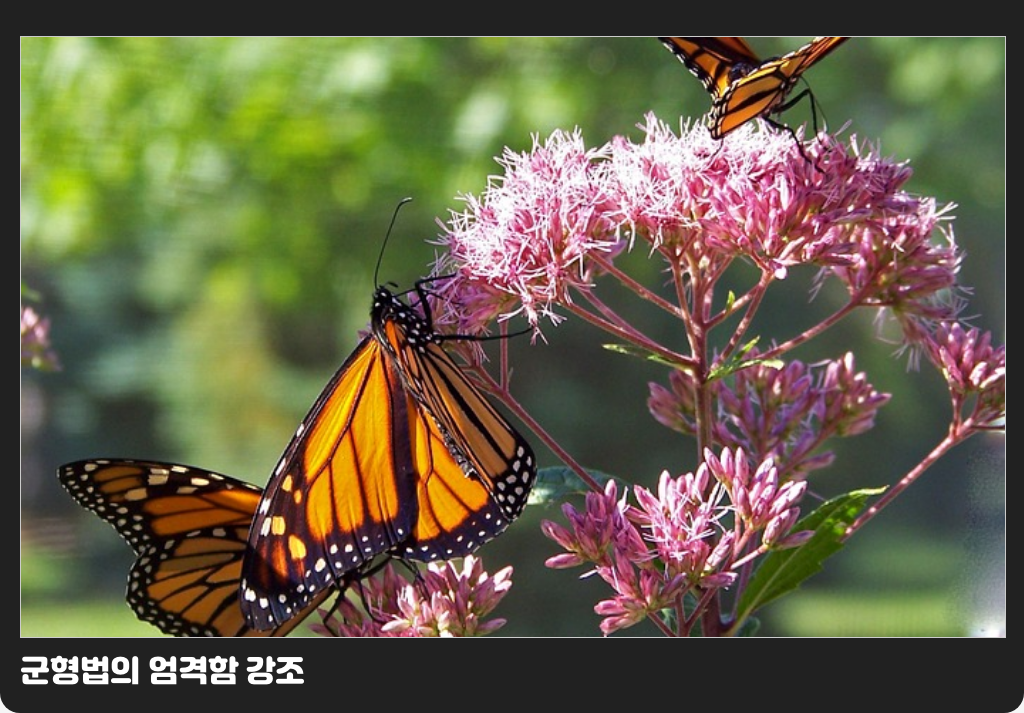군형법의 엄격함 강조