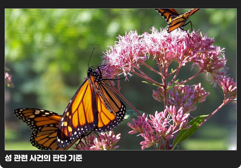 성 관련 사건의 판단 기준