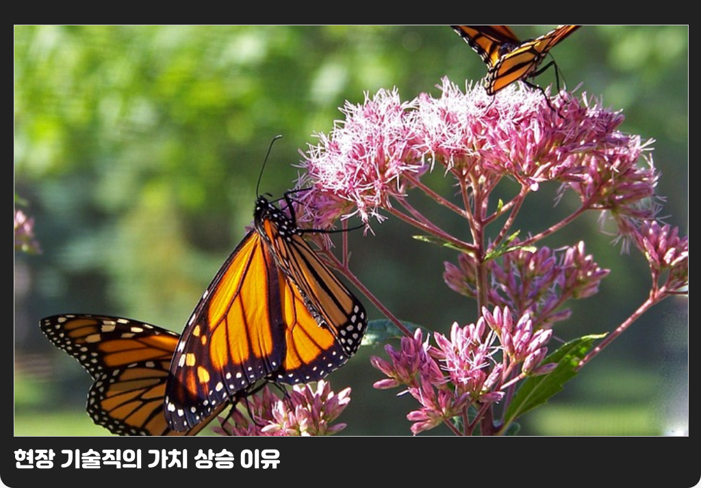 현장 기술직의 가치 상승 이유