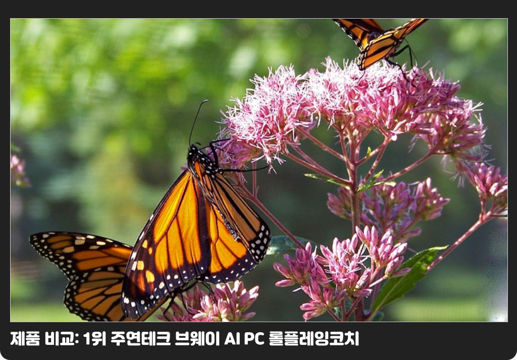 제품 비교: 1위 주연테크 브웨이 AI PC 롤플레잉코치