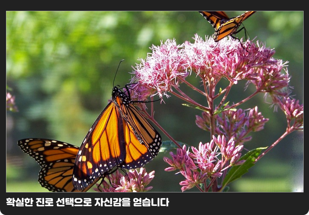 확실한 진로 선택으로 자신감을 얻습니다