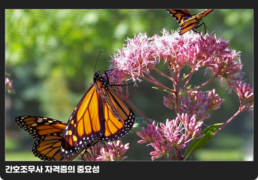 간호조무사 자격증의 중요성