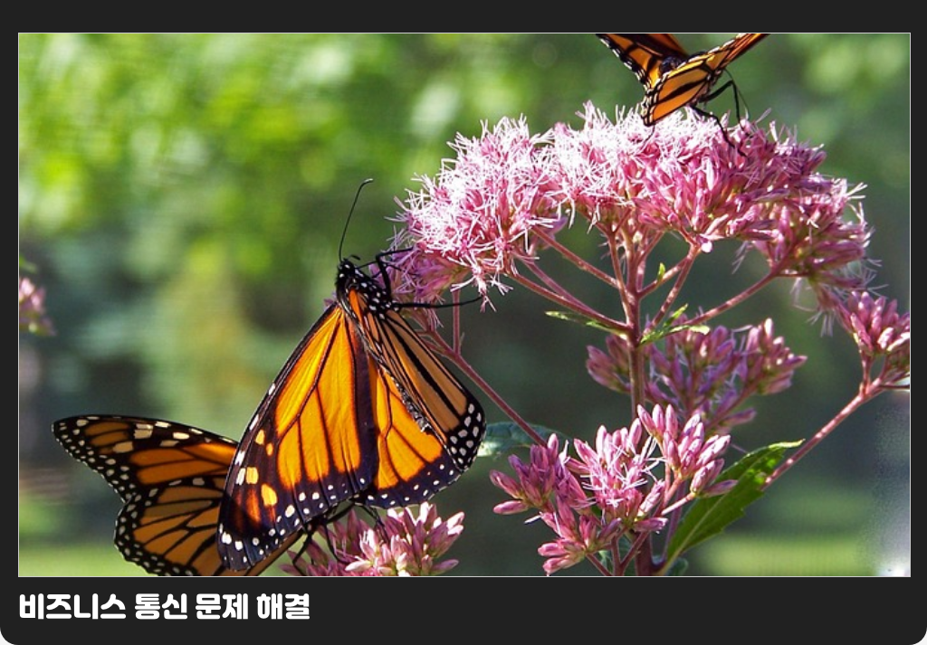 비즈니스 통신 문제 해결