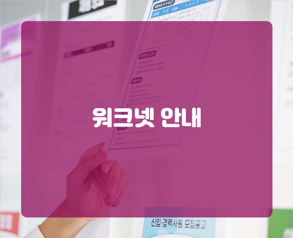 워크넷 안내