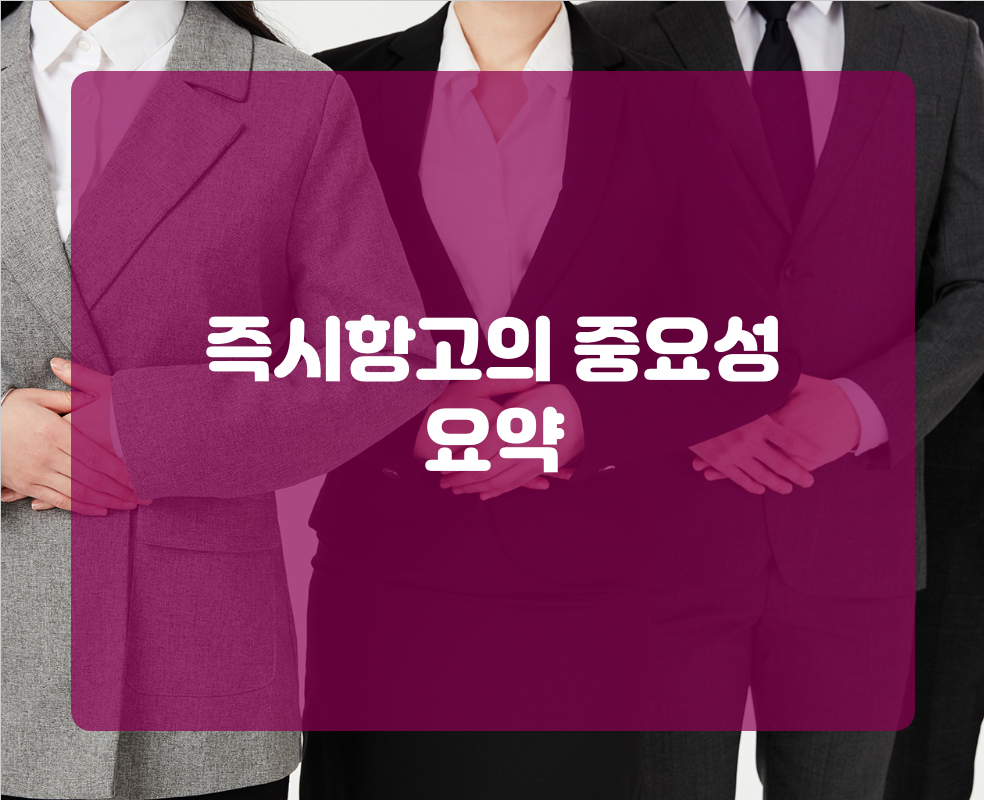 즉시항고의 중요성 요약