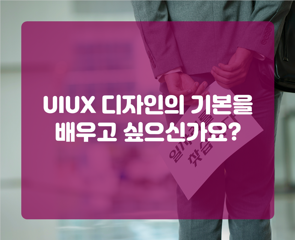 UIUX 디자인의 기본을 배우고 싶으신가요?