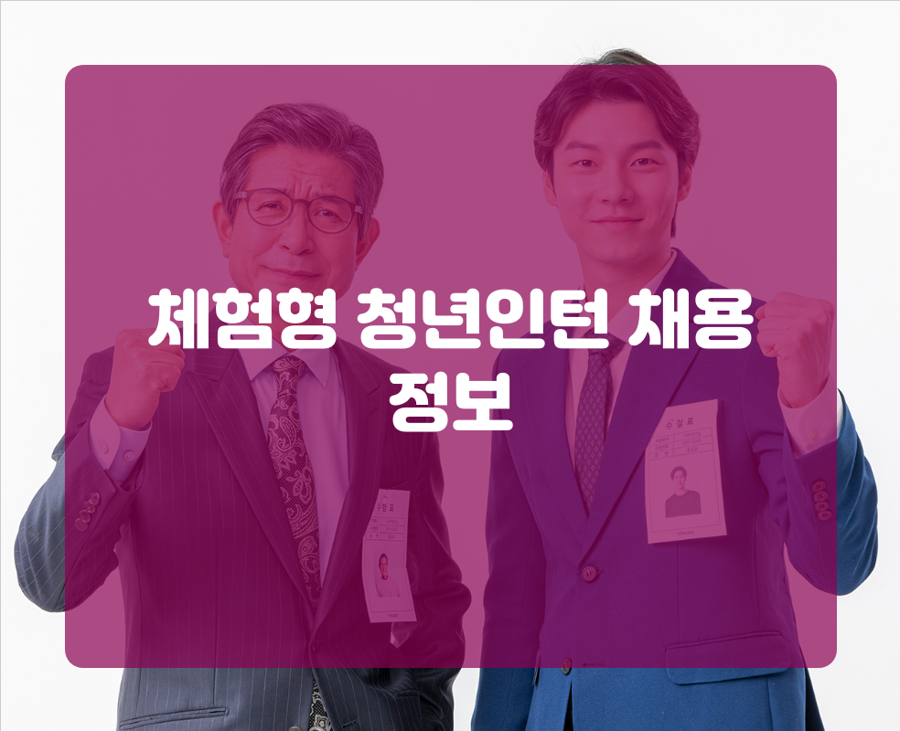 체험형 청년인턴 채용 정보
