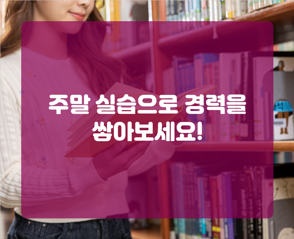 주말 실습으로 경력을 쌓아보세요!
