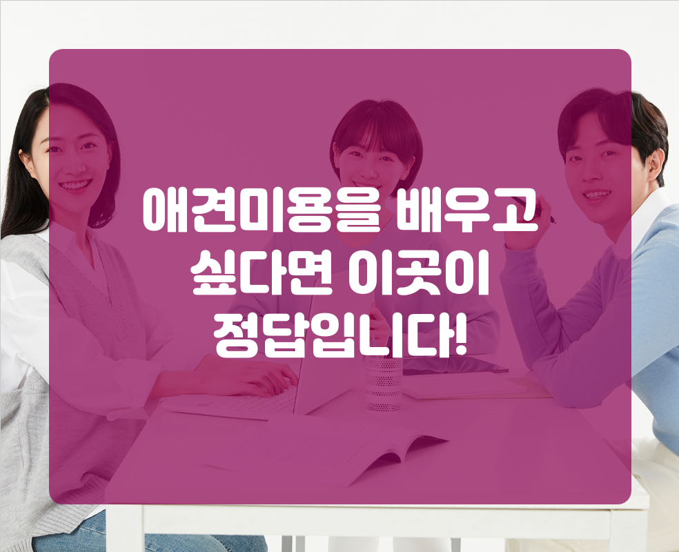 애견미용을 배우고 싶다면 이곳이 정답입니다!