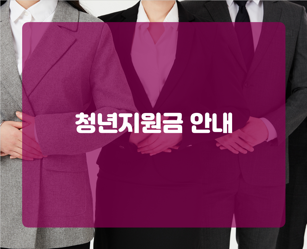 청년지원금 안내