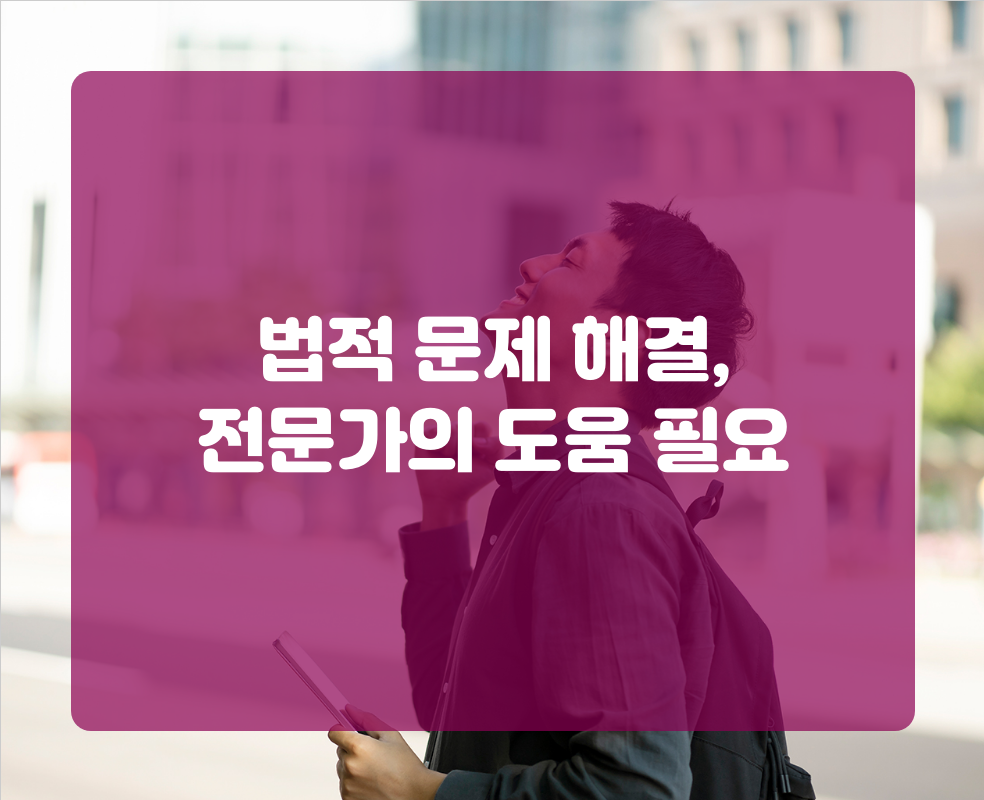 법적 문제 해결, 전문가의 도움 필요